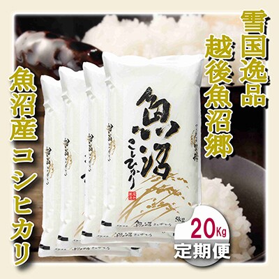 【毎月定期便】【雪国逸品 精米20kg】越後魚沼郷 魚沼産コシヒカリ 全12回
