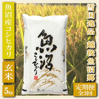 【毎月定期便】【雪国逸品 玄米5Kg】越後魚沼郷 魚沼産コシヒカリ全3回