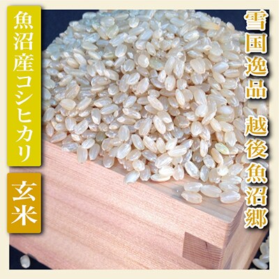 【毎月定期便】【雪国逸品 玄米5Kg】越後魚沼郷 魚沼産コシヒカリ全3回