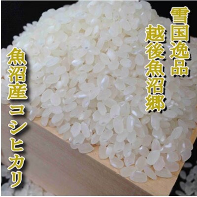 【毎月定期便】【雪国逸品　精米20kg】越後魚沼郷　魚沼産コシヒカリ全6回