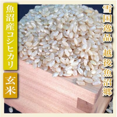 【毎月定期便】【雪国逸品 玄米5kg】越後魚沼郷 魚沼産コシヒカリ全3回