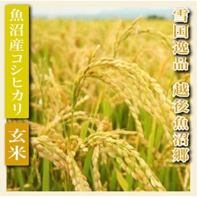 【毎月定期便】【雪国逸品 玄米5kg】越後魚沼郷 魚沼産コシヒカリ全3回