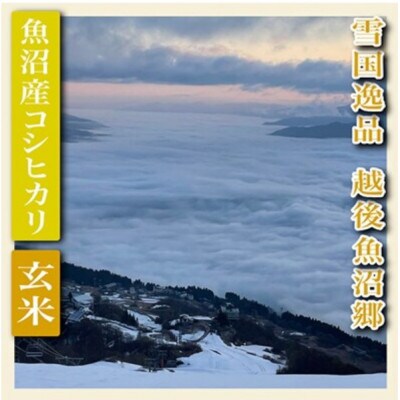 【毎月定期便】【雪国逸品 玄米5kg】越後魚沼郷 魚沼産コシヒカリ全3回