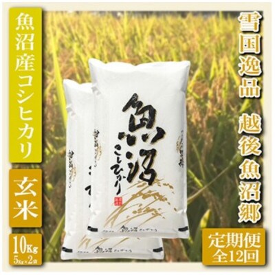 【毎月定期便】【雪国逸品 玄米10kg】越後魚沼郷 魚沼産コシヒカリ全12回