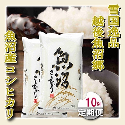 yցzፑi 10kg(5kg×2)@z㋛ YRVqJS12