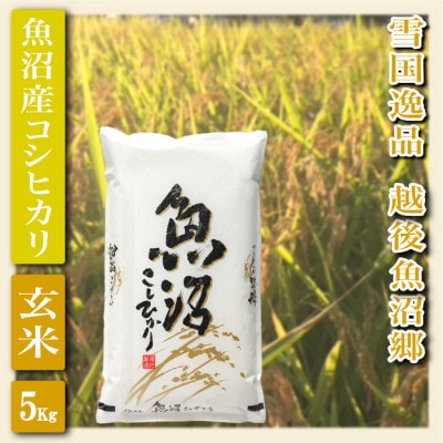 【毎月定期便】【雪国逸品 玄米5Kg】越後魚沼郷 魚沼産コシヒカリ全12回