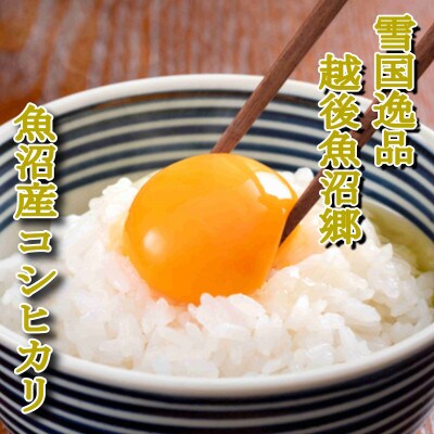 【毎月定期便】雪国逸品 《無洗米》4kg　越後魚沼郷 魚沼産コシヒカリ全12回