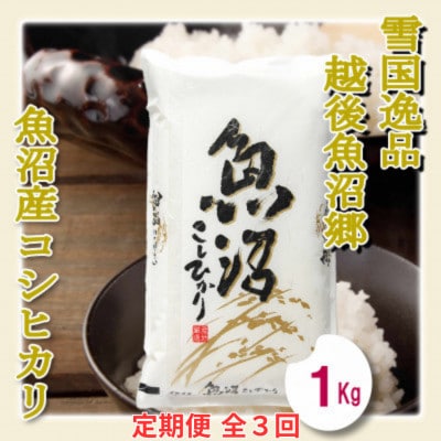 【毎月定期便】【雪国逸品　精米1kg】越後魚沼郷　魚沼産コシヒカリ全3回