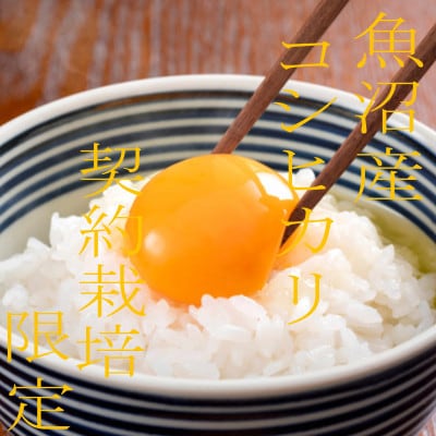 【毎月定期便】【雪国逸品　精米1kg】越後魚沼郷　魚沼産コシヒカリ全3回