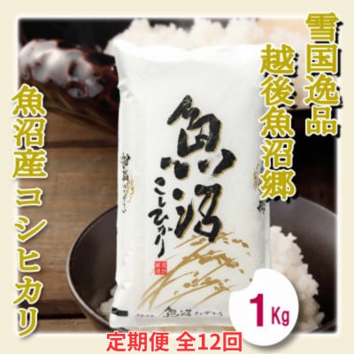 【毎月定期便】【雪国逸品 精米1kg】越後魚沼郷 魚沼産コシヒカリ全12回