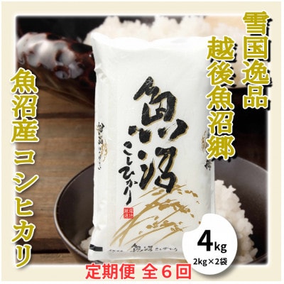 【毎月定期便】【雪国逸品 精米4kg】越後魚沼郷 魚沼産コシヒカリ(2kg×2袋)全6回