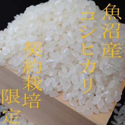 【毎月定期便】【雪国逸品 精米4kg】越後魚沼郷 魚沼産コシヒカリ(2kg×2袋)全12回