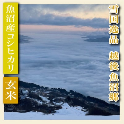 【毎月定期便】【雪国逸品 玄米1kg】越後魚沼郷 魚沼産コシヒカリ全6回