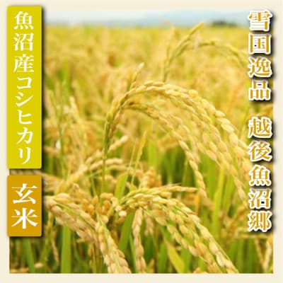 【毎月定期便】【雪国逸品 玄米4kg】越後魚沼郷 魚沼産コシヒカリ(2kg×2袋)全6回