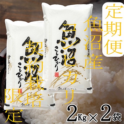 2023年7月発送開始『定期便』【雪国逸品 精米4Kg】越後魚沼郷 魚沼産コシヒカリ全6回
