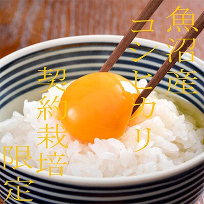 2023年7月発送開始『定期便』【雪国逸品 精米4Kg】越後魚沼郷 魚沼産コシヒカリ全6回