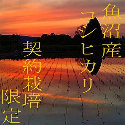 2023年2月発送開始『定期便』【雪国逸品 精米4Kg】越後魚沼郷 魚沼産コシヒカリ全12回