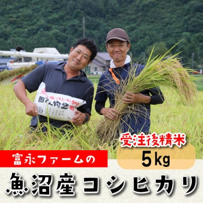 「令和6年産　」富永ファーム「田でん物語」魚沼産コシヒカリ　精米5kg