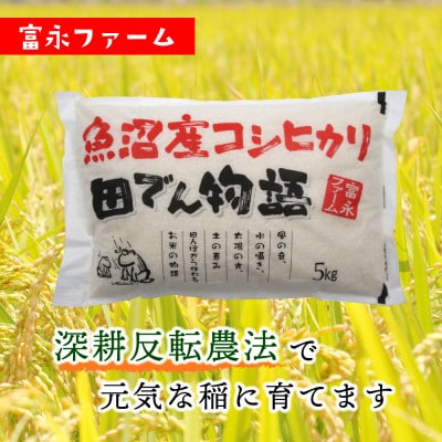 「令和6年産　」富永ファーム「田でん物語」魚沼産コシヒカリ　精米5kg