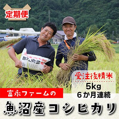 2023年3月発送開始『定期便』富永ファーム 魚沼産コシヒカリ　精米5kg全6回
