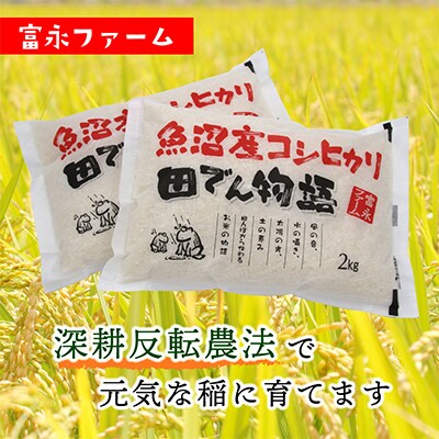 2023年2月発送開始『定期便』富永ファーム 魚沼産コシヒカリ　精米4kg(2kg×2)全6回