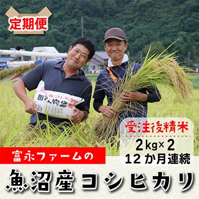 2024年1月発送開始『定期便』富永ファーム 魚沼産コシヒカリ　精米4kg(2kg×2)全12回