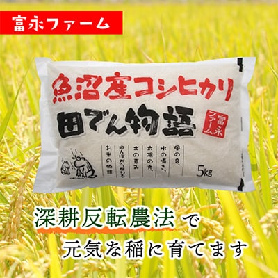 2024年1月発送開始『定期便』富永ファーム 魚沼産コシヒカリ　精米10kg 全6回