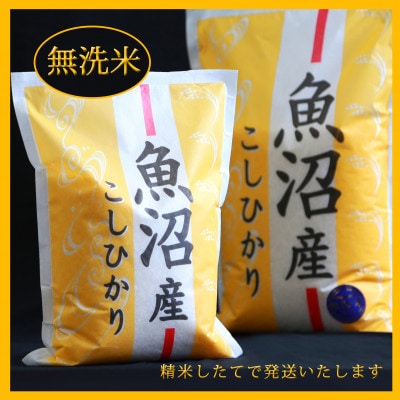 五つ星お米マイスター厳選　無洗米北魚沼産コシヒカリ5kg
