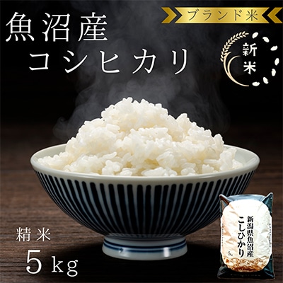 「令和8年産　新米先行受付」ブランド米 魚沼産コシヒカリ5kg 精米