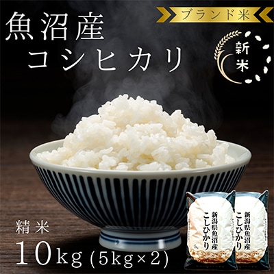 「令和8年産　新米先行受付」ブランド米 魚沼産コシヒカリ10kg(5kg×2袋) 精米