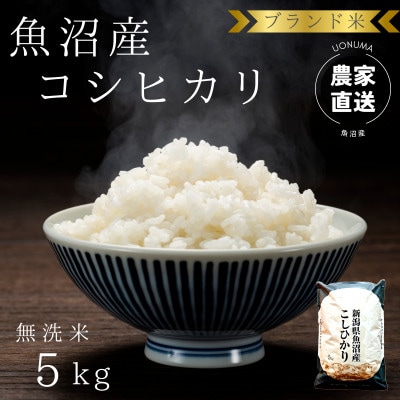 【令和8年産】 ブランド米 魚沼産コシヒカリ 5kg  無洗米 農家直送のお米