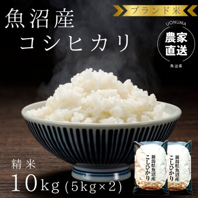 【令和8年産】 ブランド米 魚沼産コシヒカリ10kg(5kg×2袋) 精米　農家直送のお米