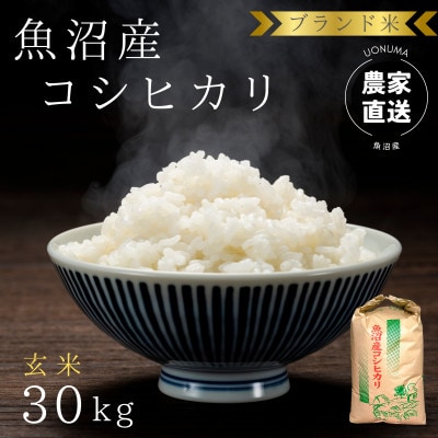 ブランド米　魚沼産コシヒカリ　玄米　30kg