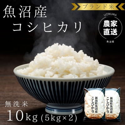 【令和8年産】ブランド米　魚沼産コシヒカリ　無洗米　10kg(5kg×2袋)