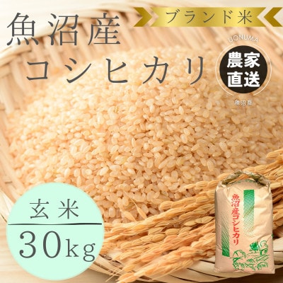 【令和8年産】ブランド米　魚沼産コシヒカリ　玄米　30kg　おいしいお米