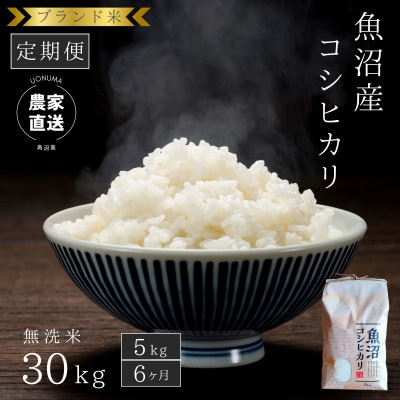 【毎月定期便】【無洗米5kg×6ヶ月】ブランド米 魚沼産コシヒカリ全6回