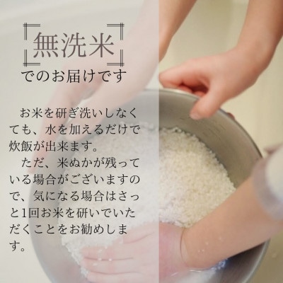 【毎月定期便】【無洗米5kg×6ヶ月】ブランド米 魚沼産コシヒカリ全6回