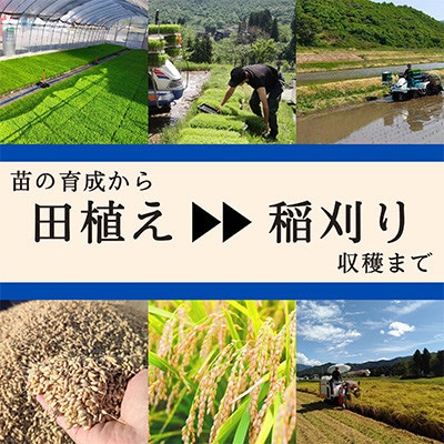 【毎月定期便】【無洗米5kg】ブランド米 魚沼産コシヒカリ全3回