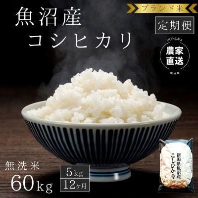 【毎月定期便】【無洗米5kg×12ヶ月】ブランド米 魚沼産コシヒカリ　農家直送のお米　全12回