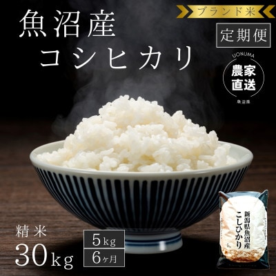 【毎月定期便】【精米5kg×6ヶ月】ブランド米 魚沼産コシヒカリ　農家直送のお米　全6回