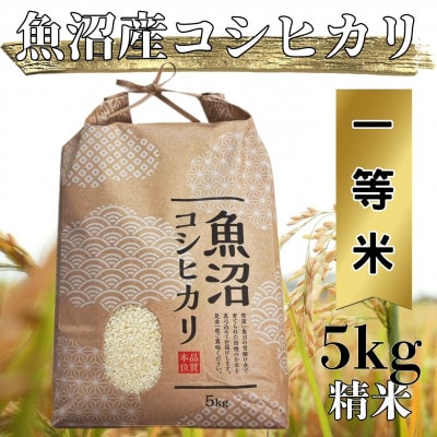 【令和7年度産】魚沼産コシヒカリ 精米 5kg 一等米