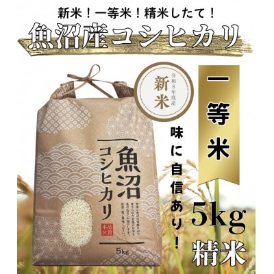 【令和8年度産】魚沼産コシヒカリ 精米 5kg 一等米 新米