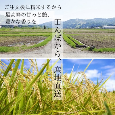 【令和8年度産】魚沼産コシヒカリ 精米 5kg 一等米 新米