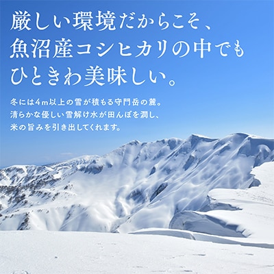 【令和7年産】魚沼産コシヒカリ『雪の恵』(精米) 5kg　お米