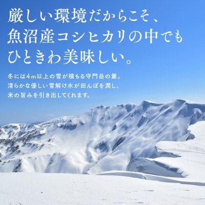【令和8年産 新米 先行受付】魚沼産コシヒカリ 「雪の恵」(精米)3kg