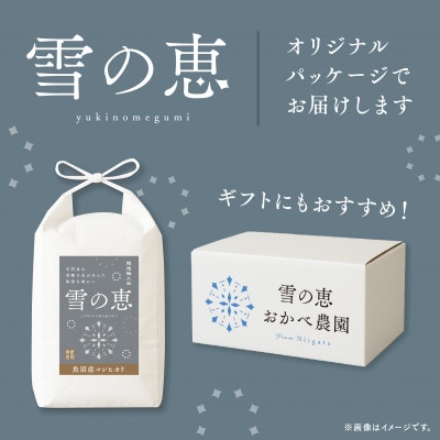 【令和8年産 新米 先行受付】魚沼産コシヒカリ「雪の恵」(精米)5kg