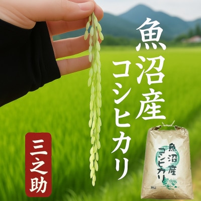 令和7年産　三之助　魚沼産コシヒカリ(精米)　10kg