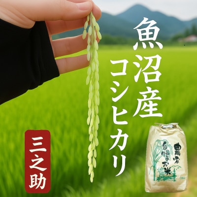 令和7年産　三之助　魚沼産コシヒカリ(精米)　15kg