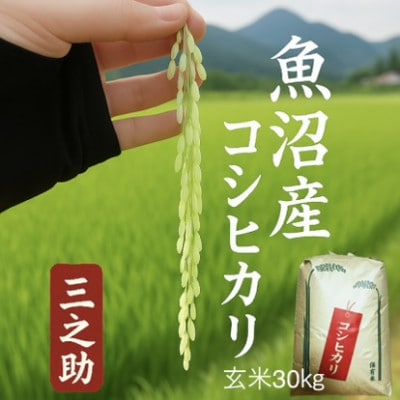 令和7年産　三之助　魚沼産コシヒカリ[玄米]30kg