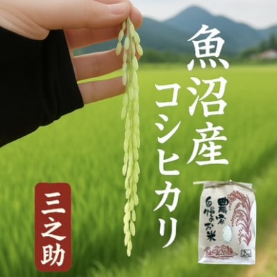 【令和8年産】三之助　特別栽培米 魚沼産コシヒカリ (精米) 2kg お米